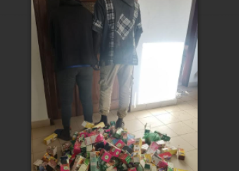 Médicaments pour faire grossir les fesses et les seins : la BNPLC démantèle un trafic au marché de Thiaroye